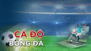 Hướng Dẫn Cá Cược Bóng Đá i9BET Từ Cơ Bản Đến Nâng Cao