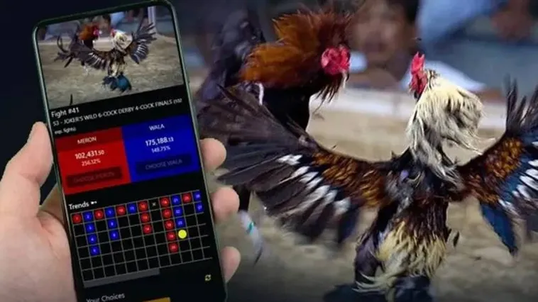 Trải Nghiệm Đá Gà i9BET Đỉnh Cao Với Các Trận Đấu Kịch Tính