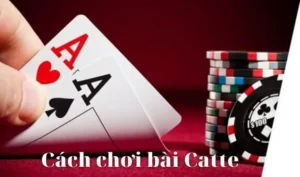 Bí Quyết Chơi Sắc Tê i9BET Từ Các Cao Thủ Hàng Đầu